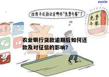 农业银行还贷逾期解决攻略：逾期后怎样办理？解决方案全解析