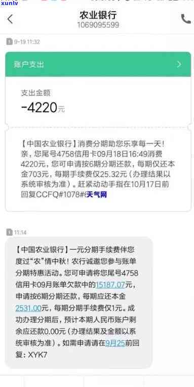 农业逾期解决成功后怎么办，农业逾期解决成功后的下一步操作指南