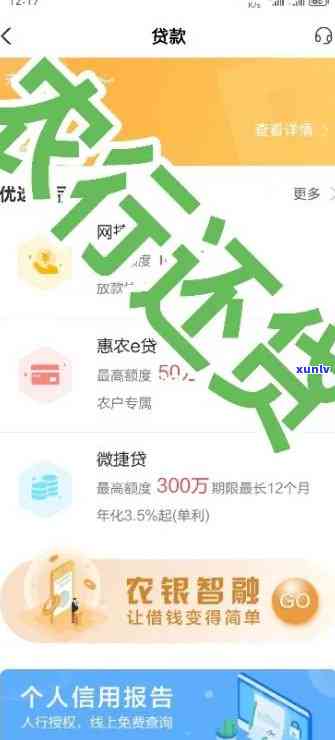 农业逾期解决成功后怎么办，农业逾期解决成功后的下一步操作指南