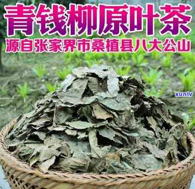 野生青钱柳叶茶哪里有卖的，寻找野生青钱柳叶茶？在哪里可以购买到？