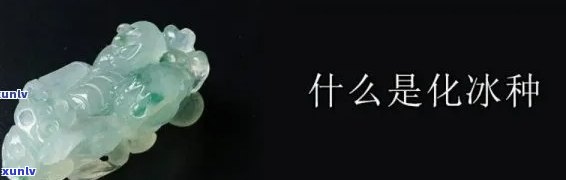 冰种化底翡翠，探究冰种化底翡翠的美丽与价值