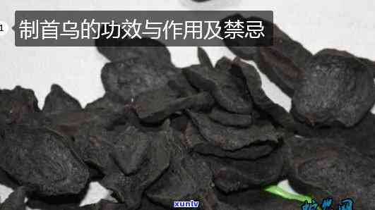 首乌茶的功效与作用及副作用，深度解析：首乌茶的功效、作用和潜在副作用