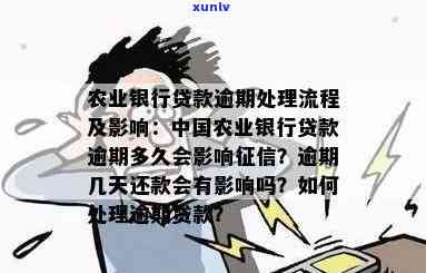 农业银行逾期贷款怎么办，解决农业银行逾期贷款的步骤与  