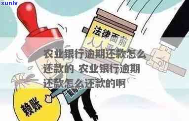 农业银行逾期贷款-农业银行逾期贷款最晚几点扣款