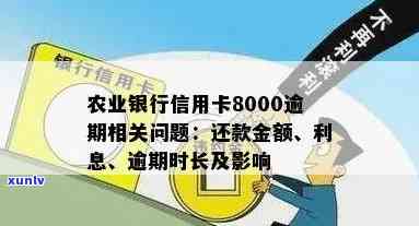 农业银行信用卡8000逾期8年，需还款及利息多少？