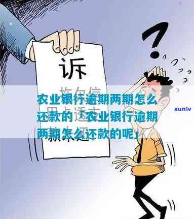 农业银行逾期找谁-农业银行逾期找谁投诉