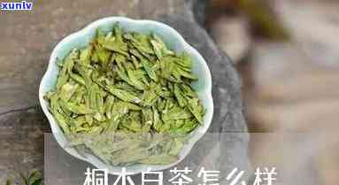 桐木茶有什么好处，探究桐木茶的养生功效与好处