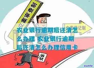 中国农业银行逾期贷款解决方案及政策解读