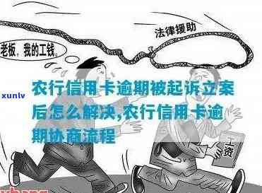 中国农业银行逾期贷款解决方案及政策解读