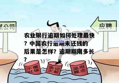 农业银行临时逾期会怎么样，警惕！农业银行临时逾期可能带来的结果