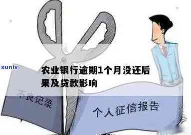 农业贷款扣款逾期会带来什么结果？怎样解决逾期疑问？