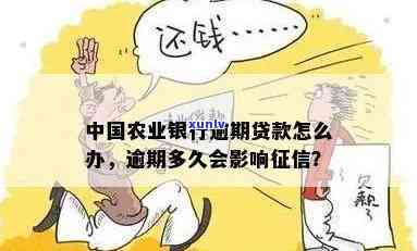 农业银行贷款超期扣款后多久能再贷？作用吗？