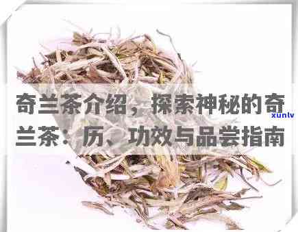 奇兰茶的功效与作用详解