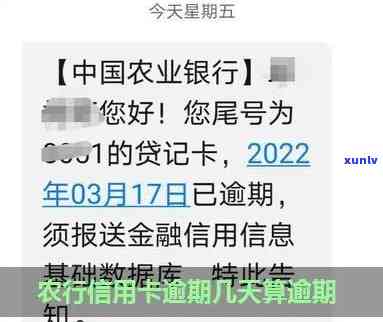 农业银行逾期宽限几天？计算  及规定全解析