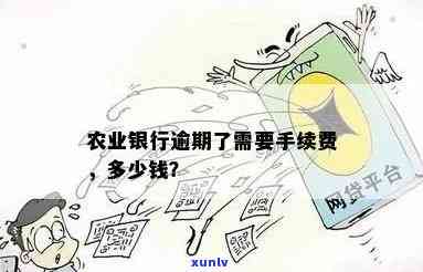 农行逾期违约金是多少？每月费用怎样计算？