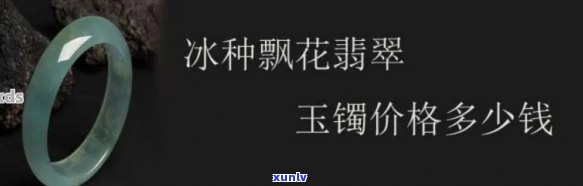 一只翡翠冰种手镯到底需要多少钱，揭秘价格：一只翡翠冰种手镯究竟价值多少？