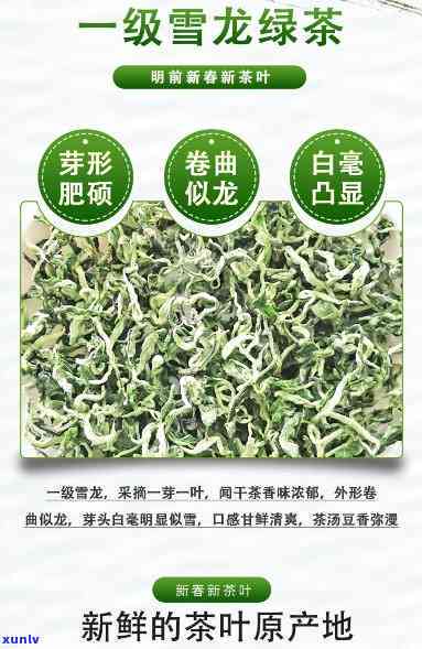 雪龙茶：功效、作用与副作用全解析