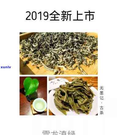 雪龙茶：功效、作用与副作用全解析