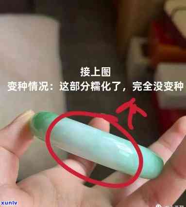 哪种翡翠不会变种：全面解析不同种翡翠的特点与稳定性