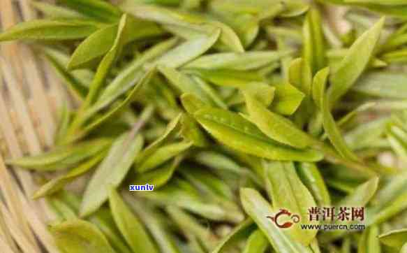 雪龙茶的功效和作用-雪龙茶叶属于什么茶