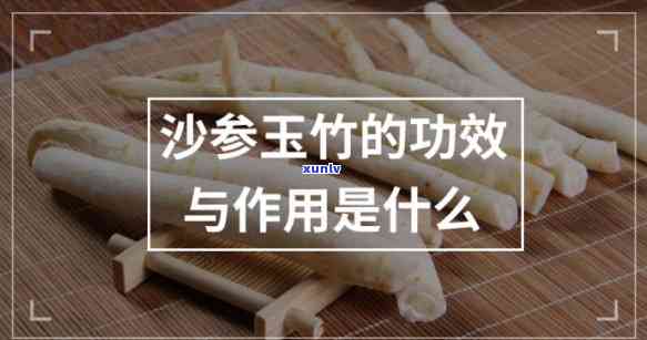 全面了解沙参玉竹茶：功效、禁忌与作用