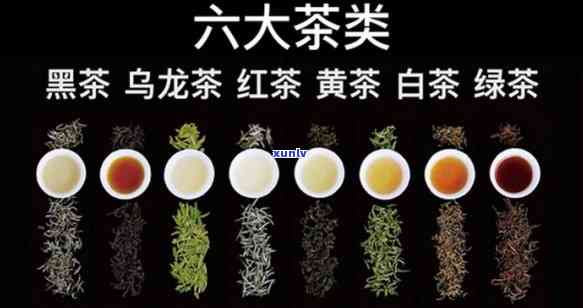 介绍中国的六大茶类-介绍中国的六大茶类有哪些