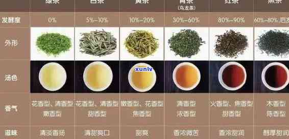 中国产最多的茶类是什么？探讨茶叶王国的主导品种