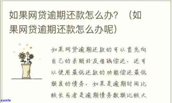 交通逾期多久会叫全部还款，交通逾期多久会引起全额还款？