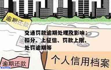 交通罚单，交通罚单将被纳入个人系统，驾驶表现将直接作用信用记录