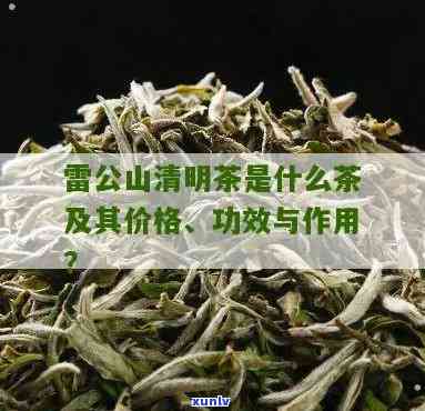 清明茶的功效与作用-雷公山清明茶的功效与作用