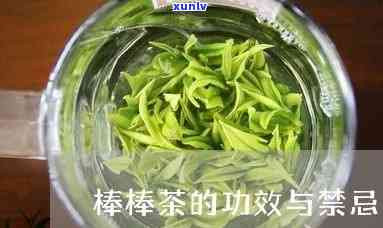 棒子茶的功效与作用及禁忌全解析