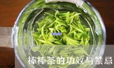 棒子茶的功效与作用及禁忌全解析