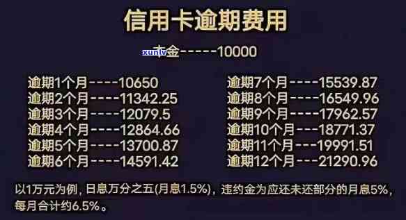 交通逾期后必须全额还款吗？起因、解决  及作用解析