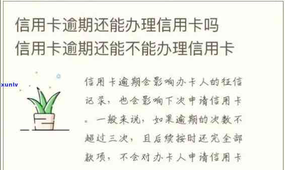 交通逾期能否办理蓄卡？关键信息在此！