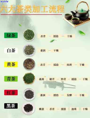 6大茶类工艺区别图，六大茶类工艺详解：从绿茶到黑茶的视觉比较