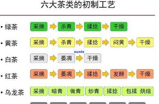 6大茶类工艺区别图，六大茶类工艺详解：从绿茶到黑茶的视觉比较