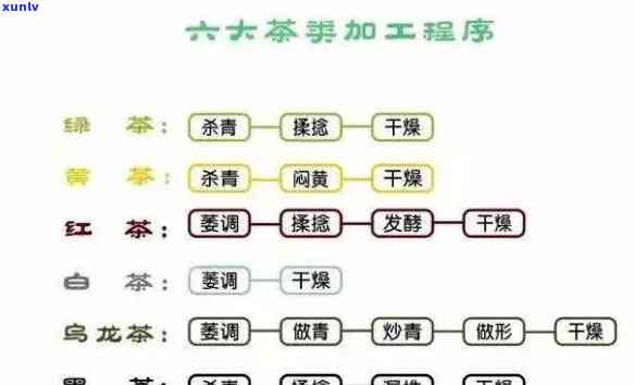 六大茶类按工艺分类-六大茶类按工艺分类是什么时候列入标准