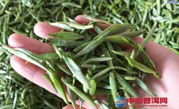 雨前茶的茶是什么意思，探秘雨前茶：茶是什么意思？