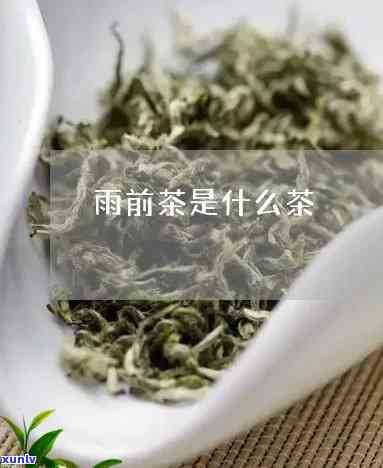 雨前茶的功效与作用-雨前茶有什么功能