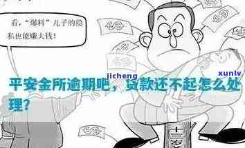 '长期逾期的人寿保险贷款解决  及作用'