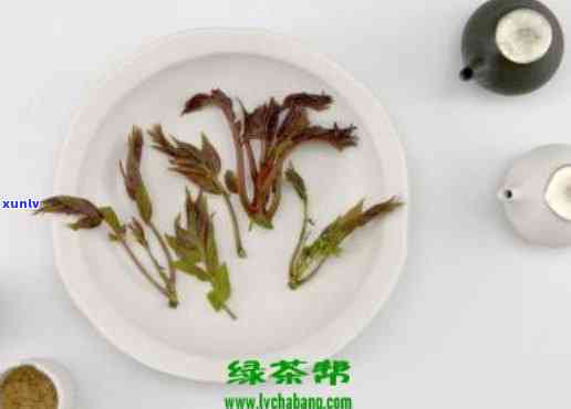 香椿茶的功效与作用-香椿茶的功效与作用及禁忌