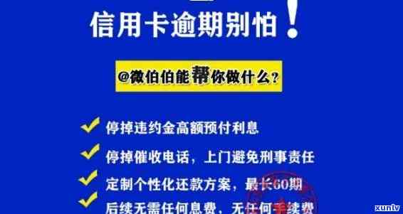 交通信用逾期利息计算  ：详解与步骤