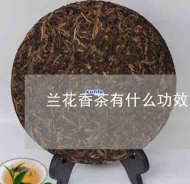 全面解析：香兰茶的功效与作用是什么？