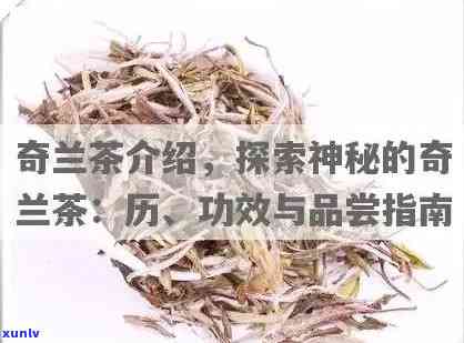 香兰茶的功效与作用-香兰茶的功效与作用及禁忌