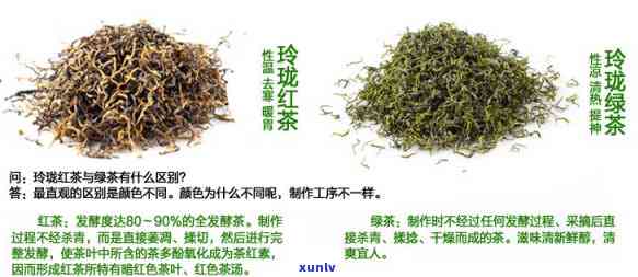 全面了解玲珑茶：功效、作用与禁忌