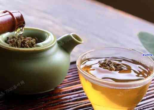 凤尾茶是什么茶，揭秘凤尾茶：它到底是一种什么茶？