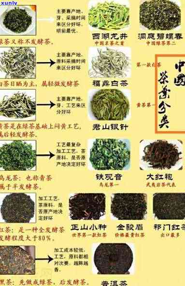 八仙茶：揭示其种类与所属茶类