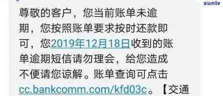 翡翠珠是什么：全面解析其植物学特性、生态环境及文化意义