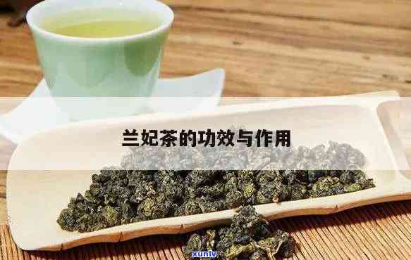 兰妃茶的功效与作用-茉莉兰妃茶的功效与作用