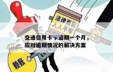 交通逾期解决方案文大全：详细解析如何撰写